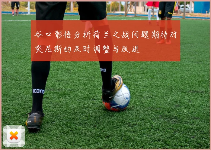 谷口彰悟分析荷兰之战问题期待对突尼斯的及时调整与改进