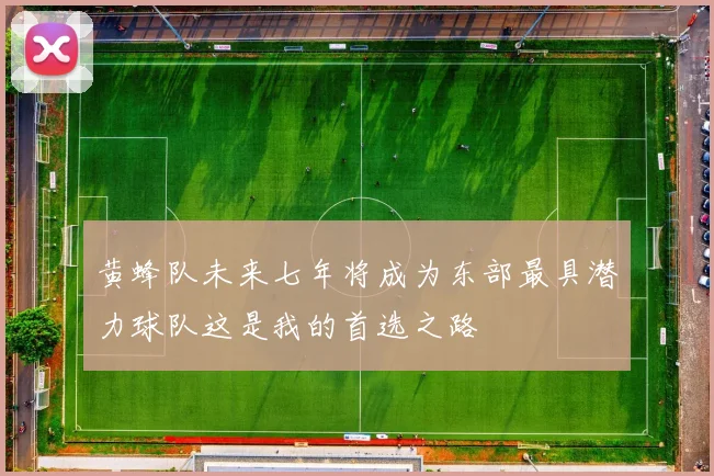 黄蜂队未来七年将成为东部最具潜力球队这是我的首选之路